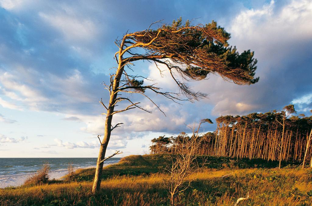 Strandhotel Duenenmeer - Adults Only Dierhagen Eksteriør bilde
